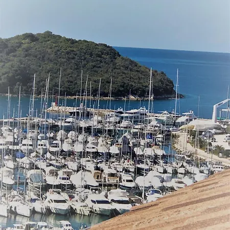 Apartments Papilon Vrsar Exterior photo